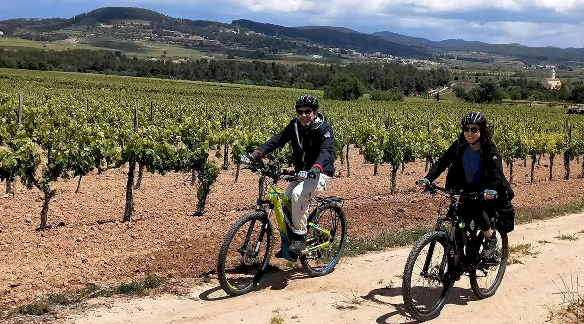 Cycling in the Penedés vinyards, tapas and wine tasting