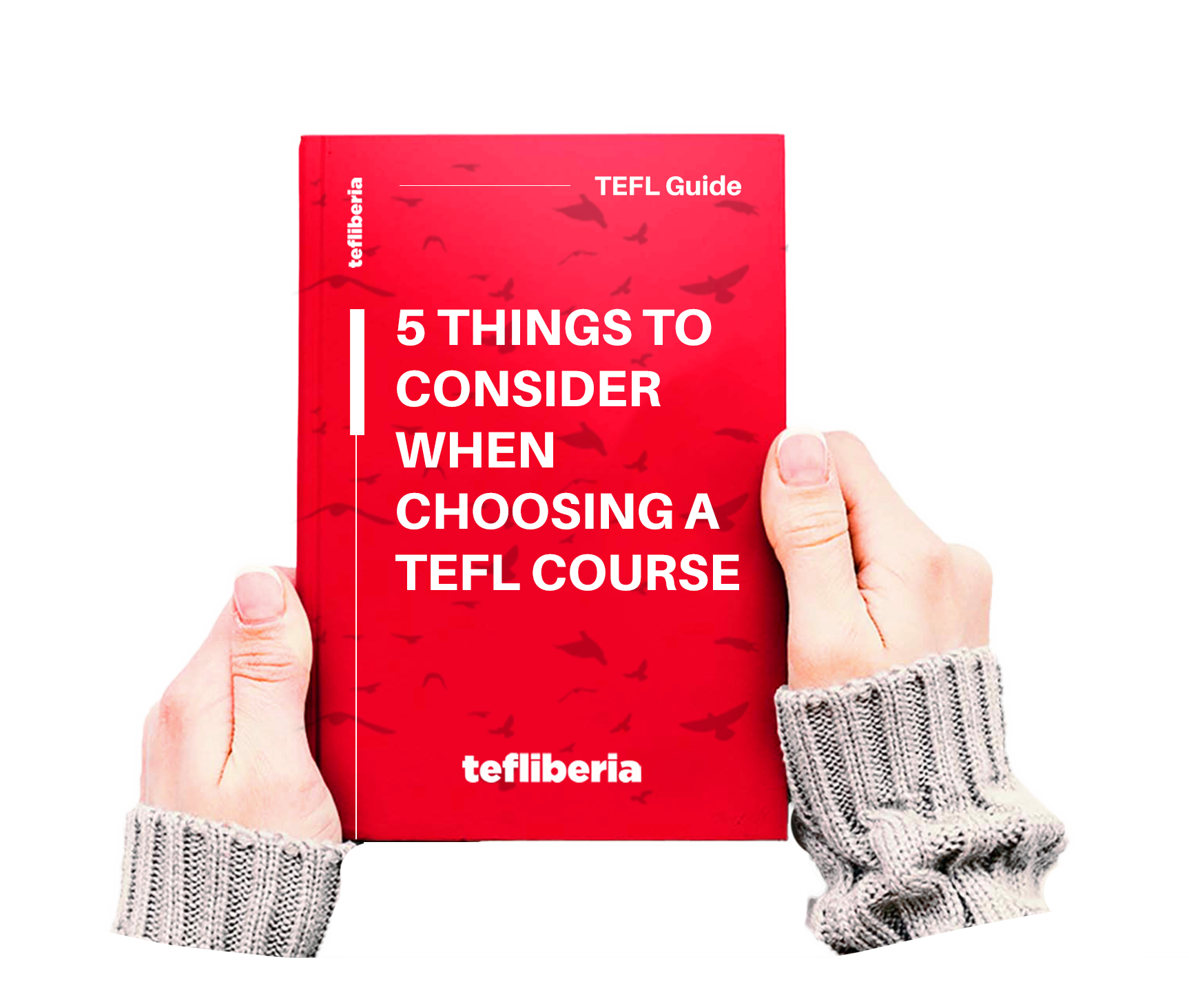 tefl-ebook-cover